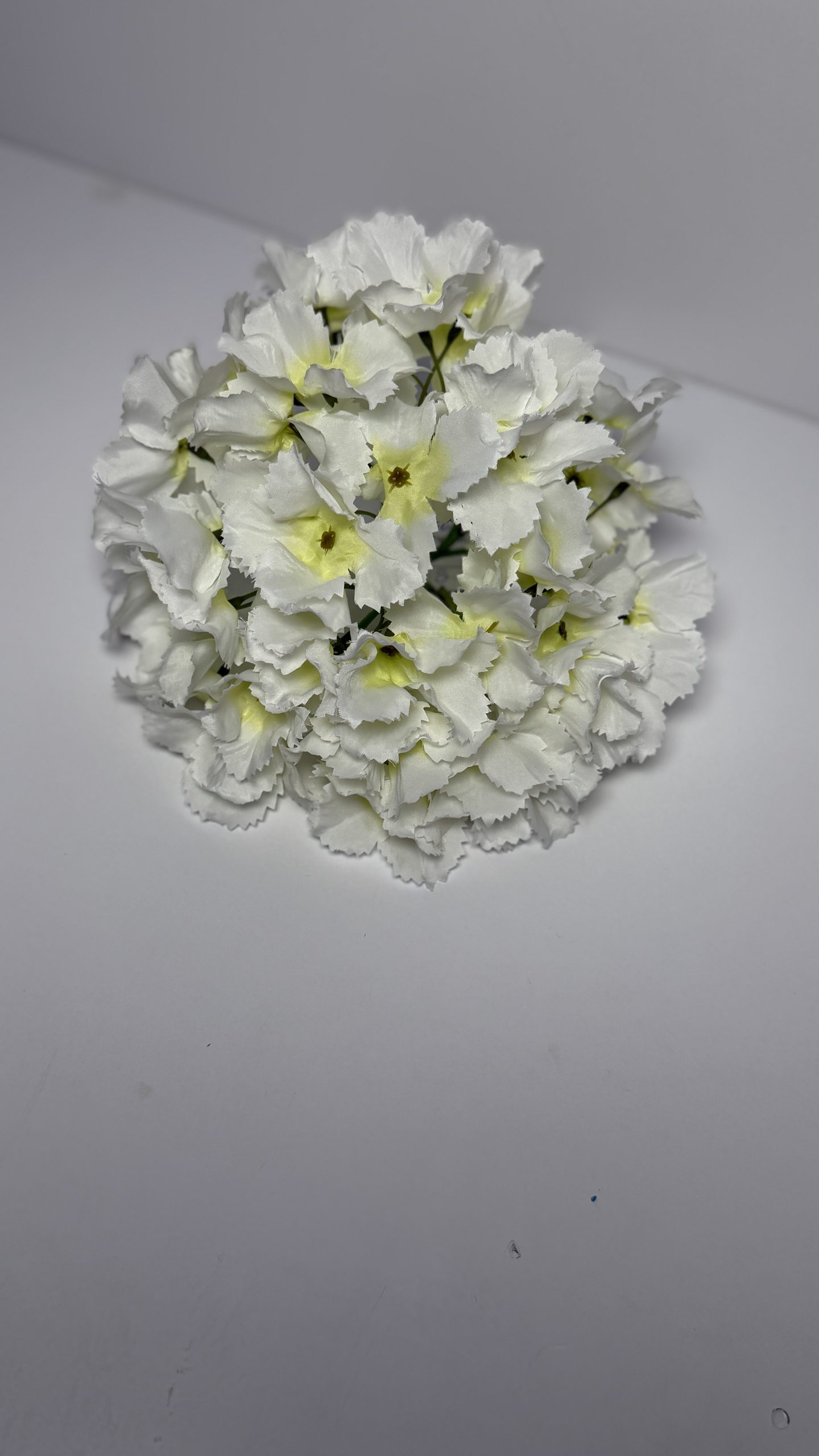 S-313, Головка білої гортензії S-313, Головка білої гортензії