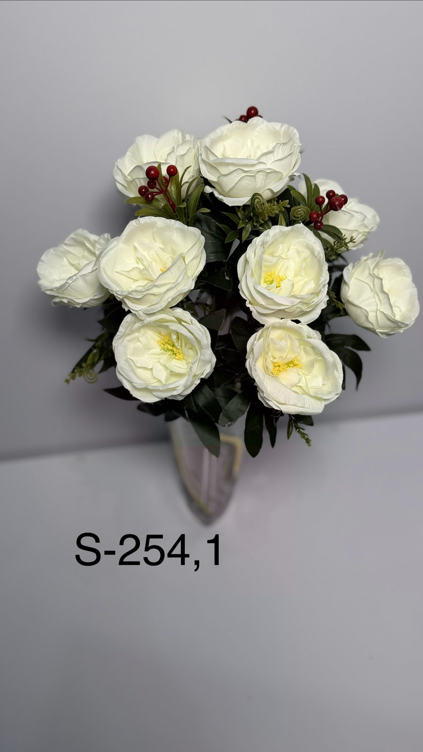 S-254,1, Еустоми з горобиною