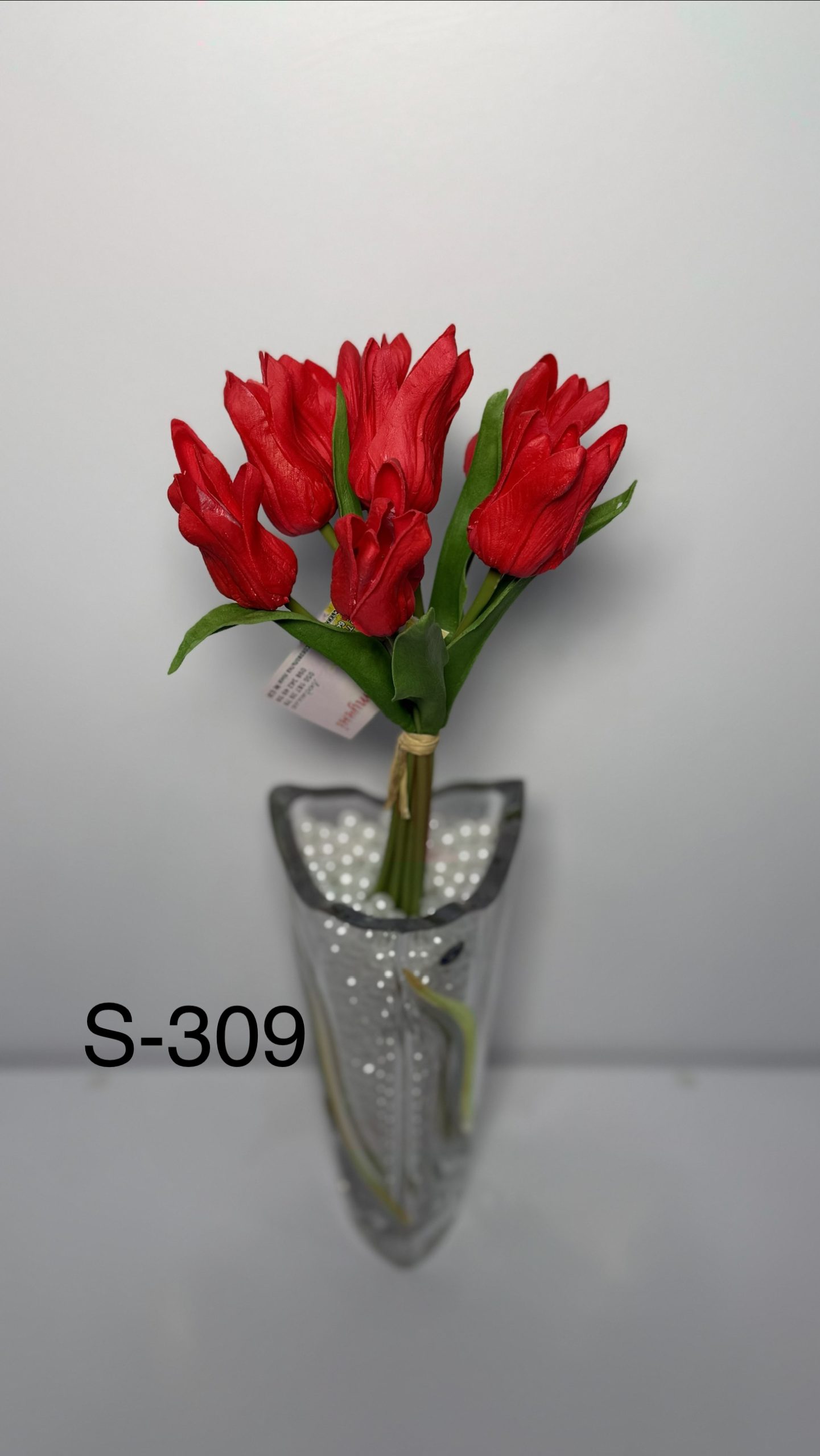 S-309, Тюльпани