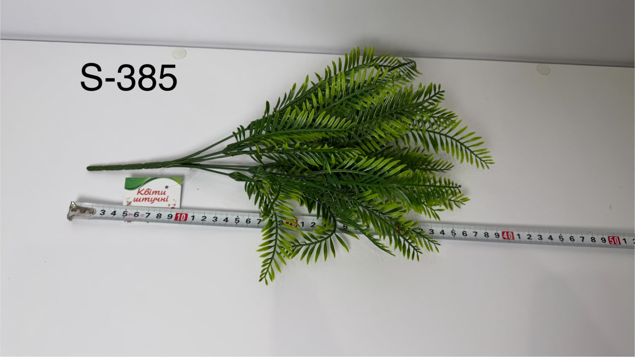 Декор S-385, Нефролепіс Декор S-385, Нефролепіс