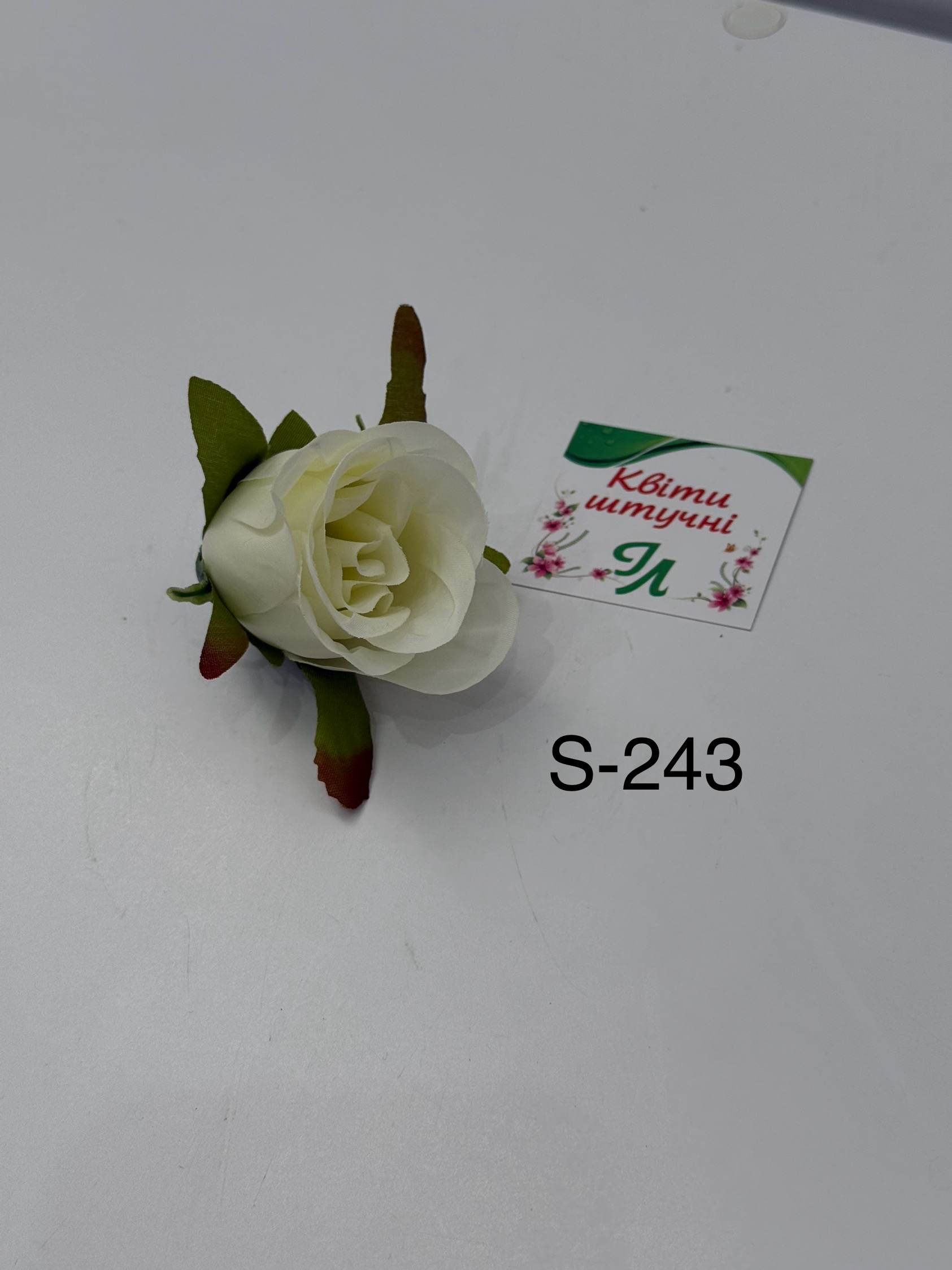 S 243 1 - Головна