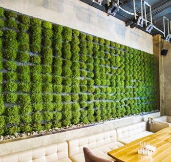 flo 50 350x331 - Как оформить ресторан, кафе и бар декоративными растениями